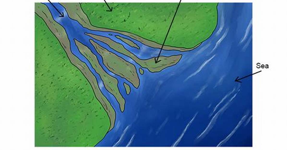 What Does Estuary Mean?