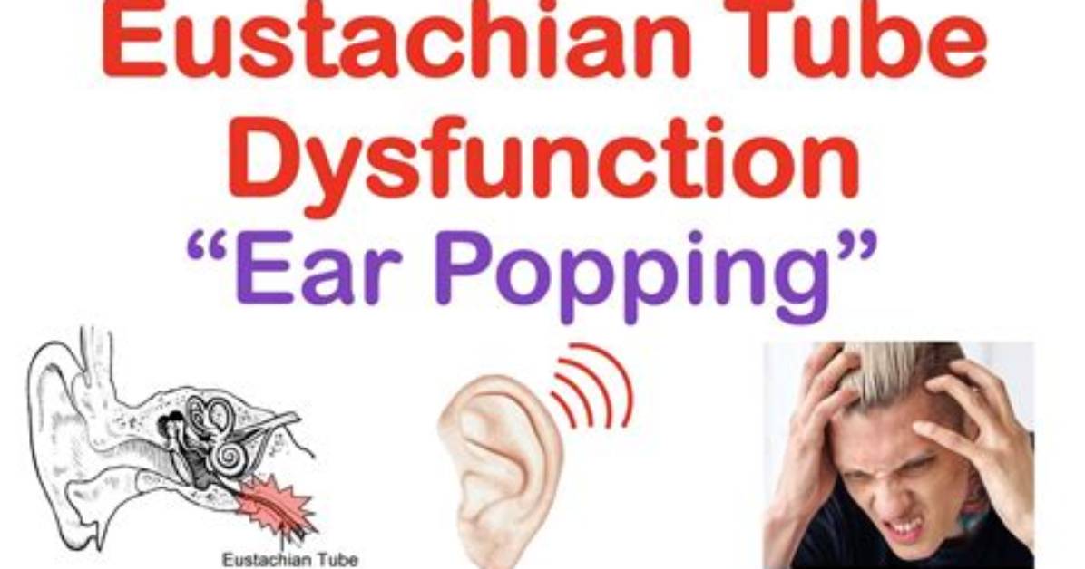 What Does Eustachian Mean?