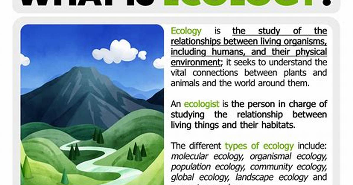 What Does Evology Mean