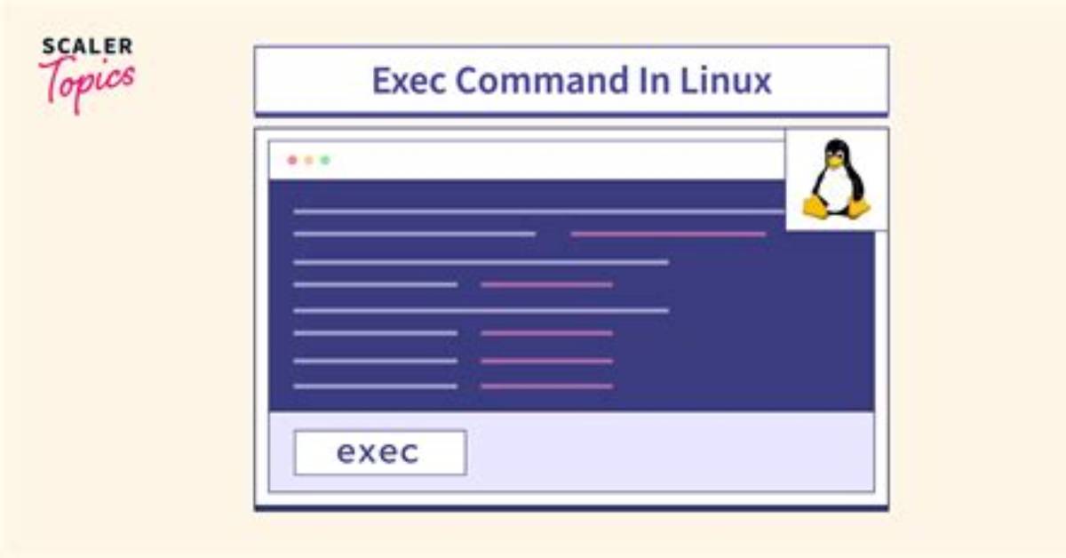 What Does Exec Command Do in Linux?