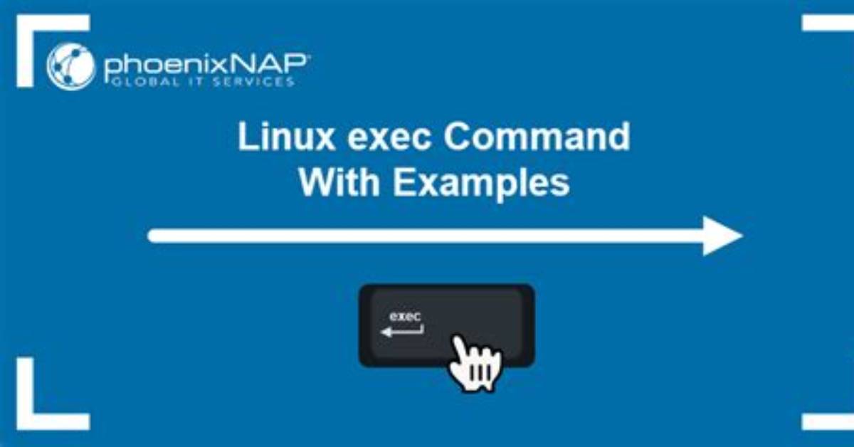 What Does Exec Do in Linux?