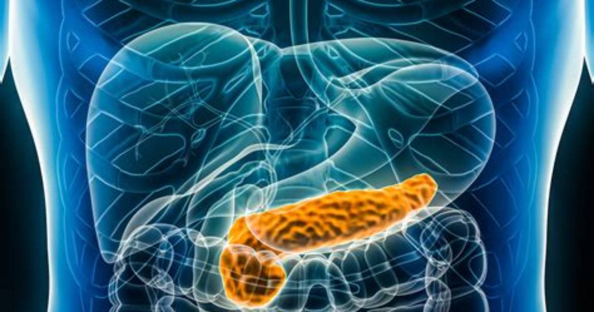 What Does Exercise Do to the Pancreas?