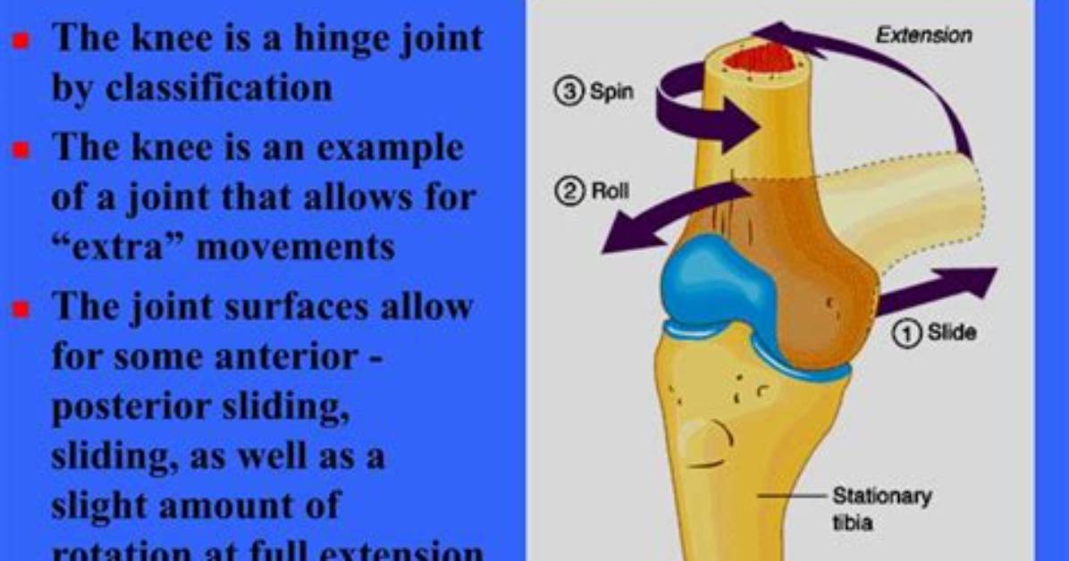 What Does Extra Articular Mean?