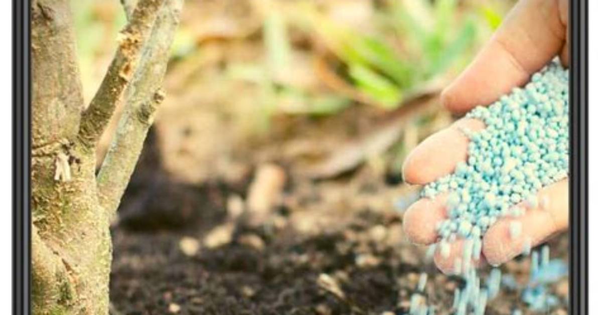 What Does Fertilizer Do?