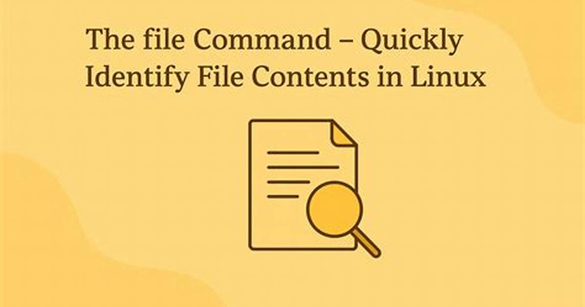 What Does File Command Do in Linux?