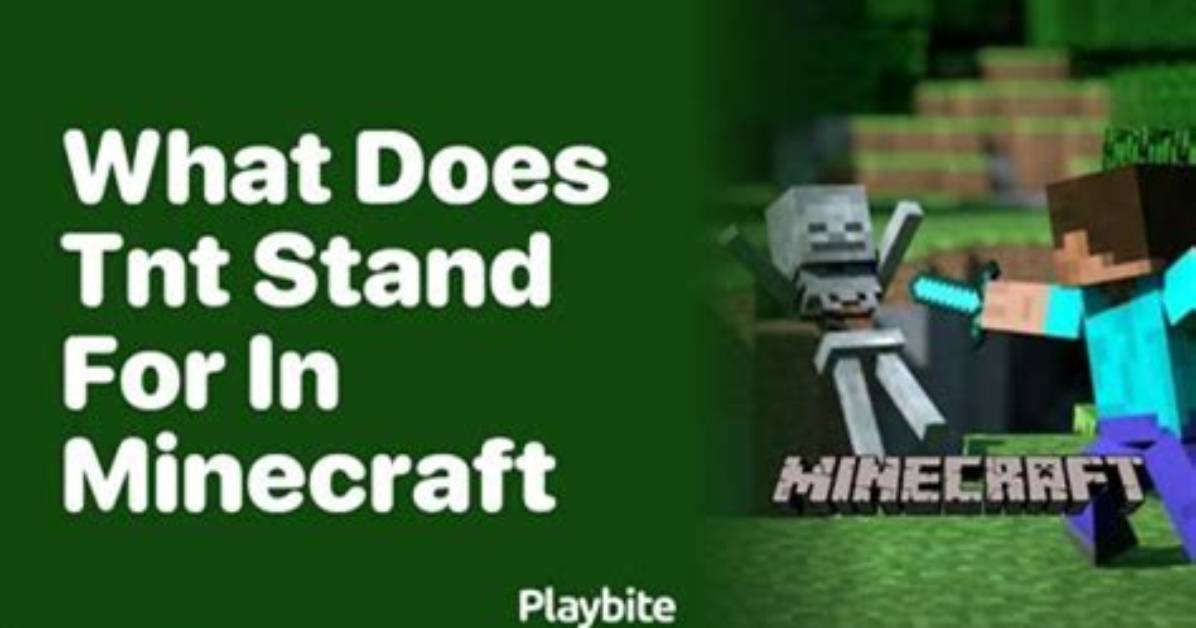 What Does Fin 48 Stand For