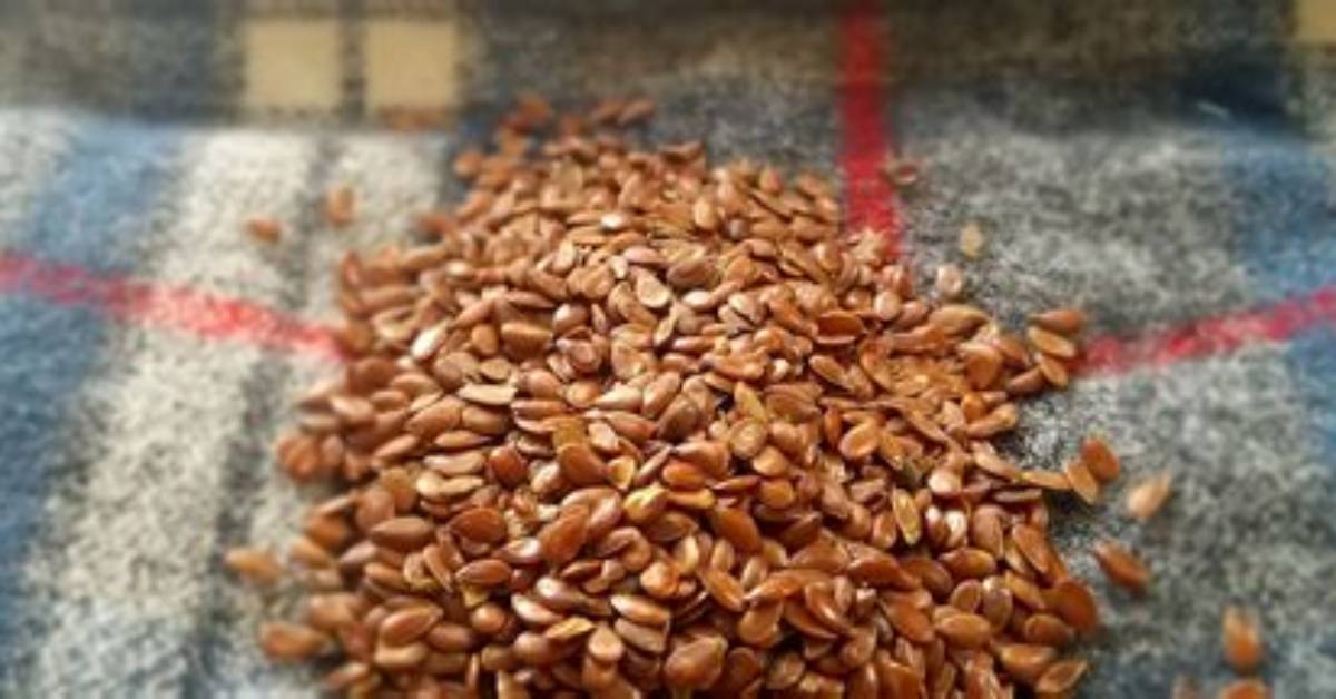 What Does Flax Taste Like