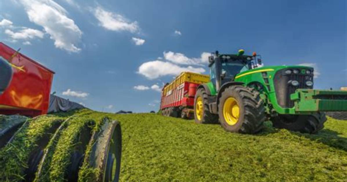 What Does Food for Fodder Mean?