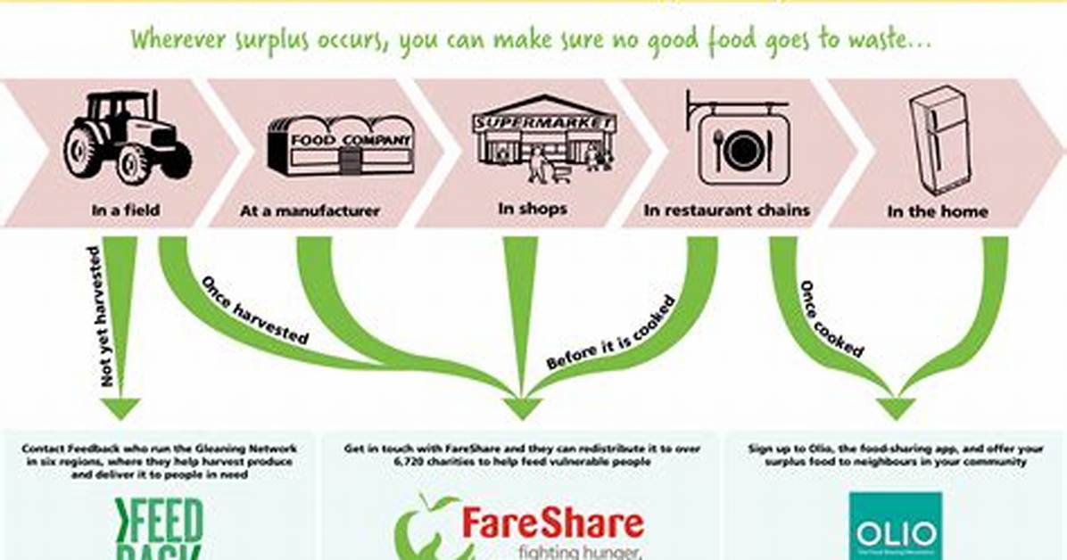 What Does Food Surplus Mean