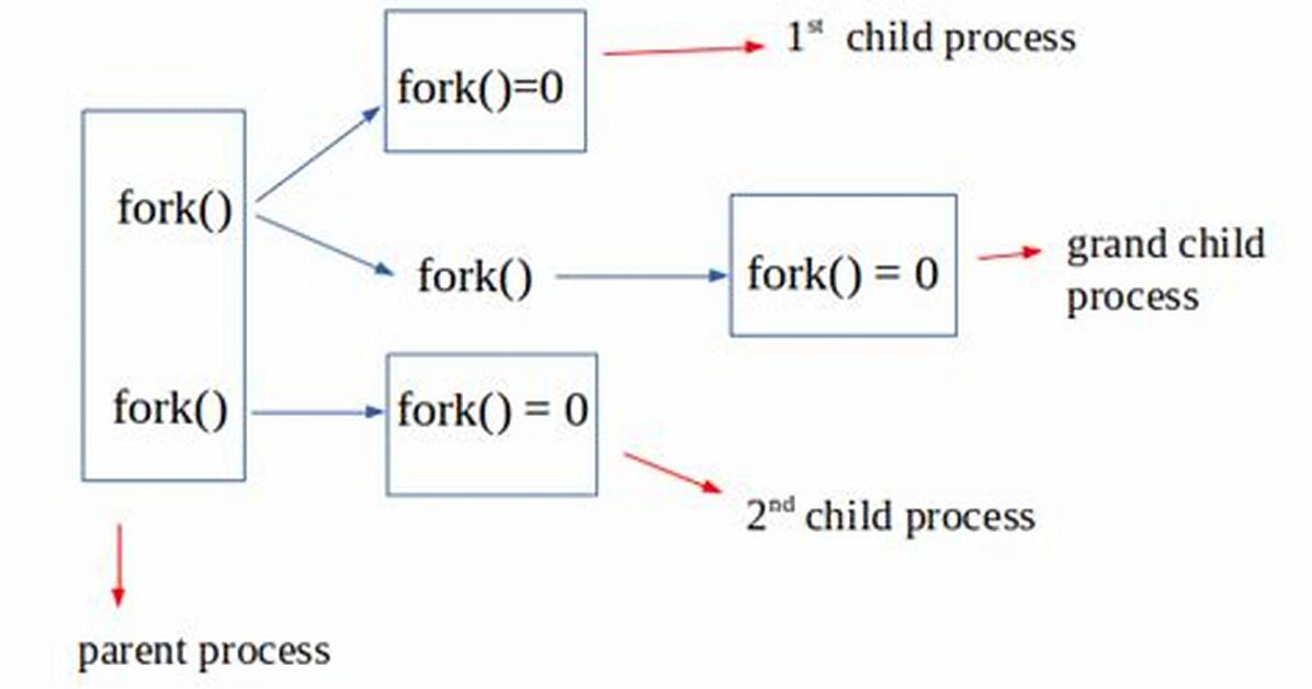 What Does Fork Do in Unix?