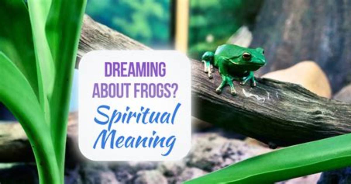 What Does Frogs Mean?