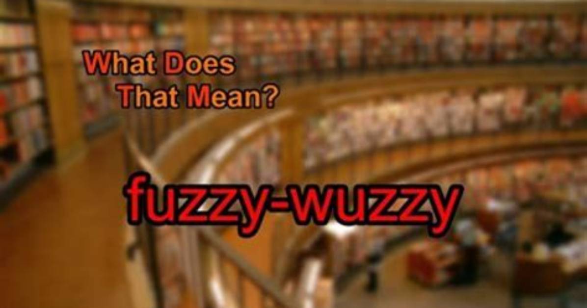 What Does Fuzzy Wuzzy Mean