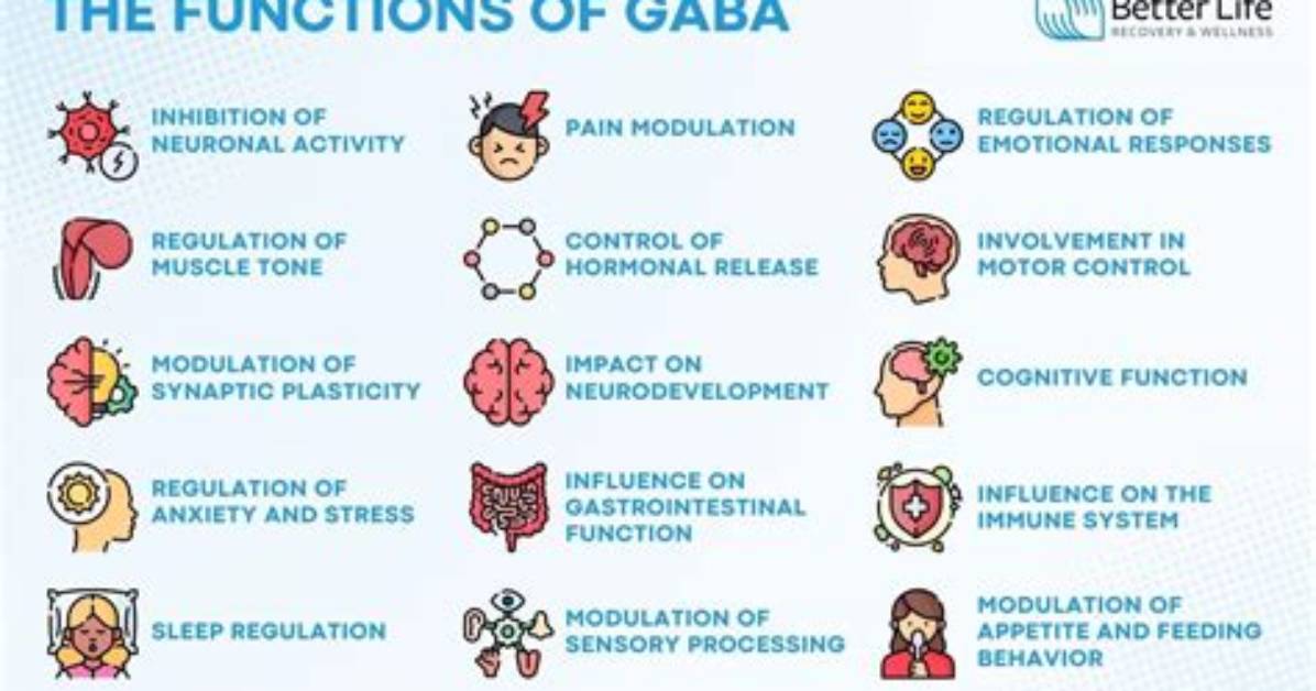 What Does Gaba Mean