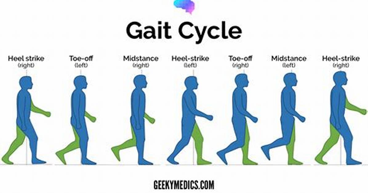What Does Gait Mean?