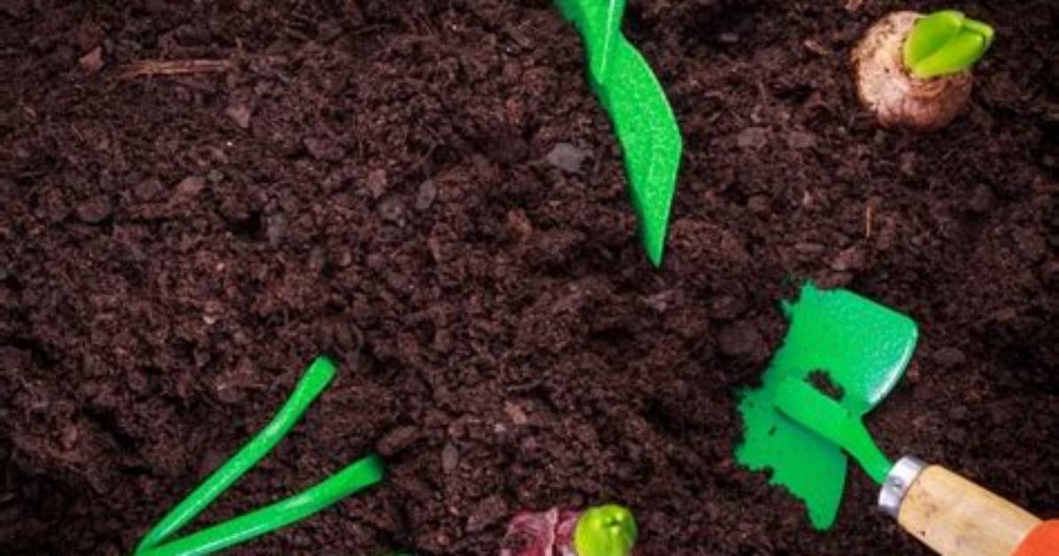 What Does Garden Soil Contain?