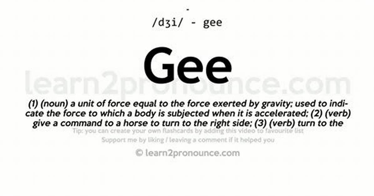What Does Gee up Mean?