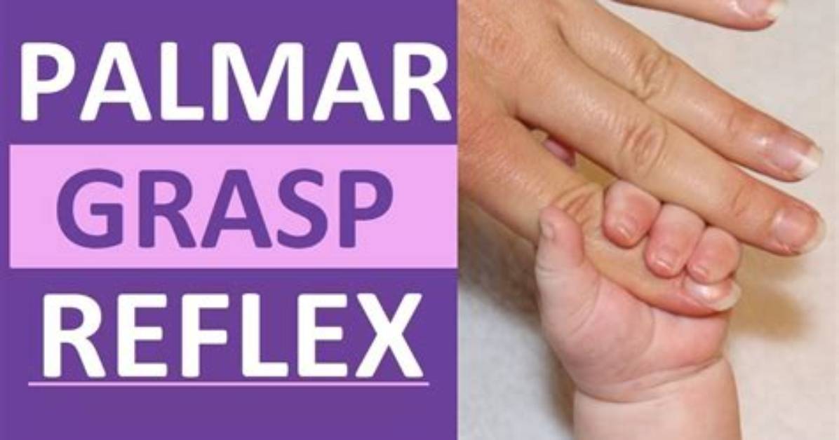 What Does Grasp Reflex Mean