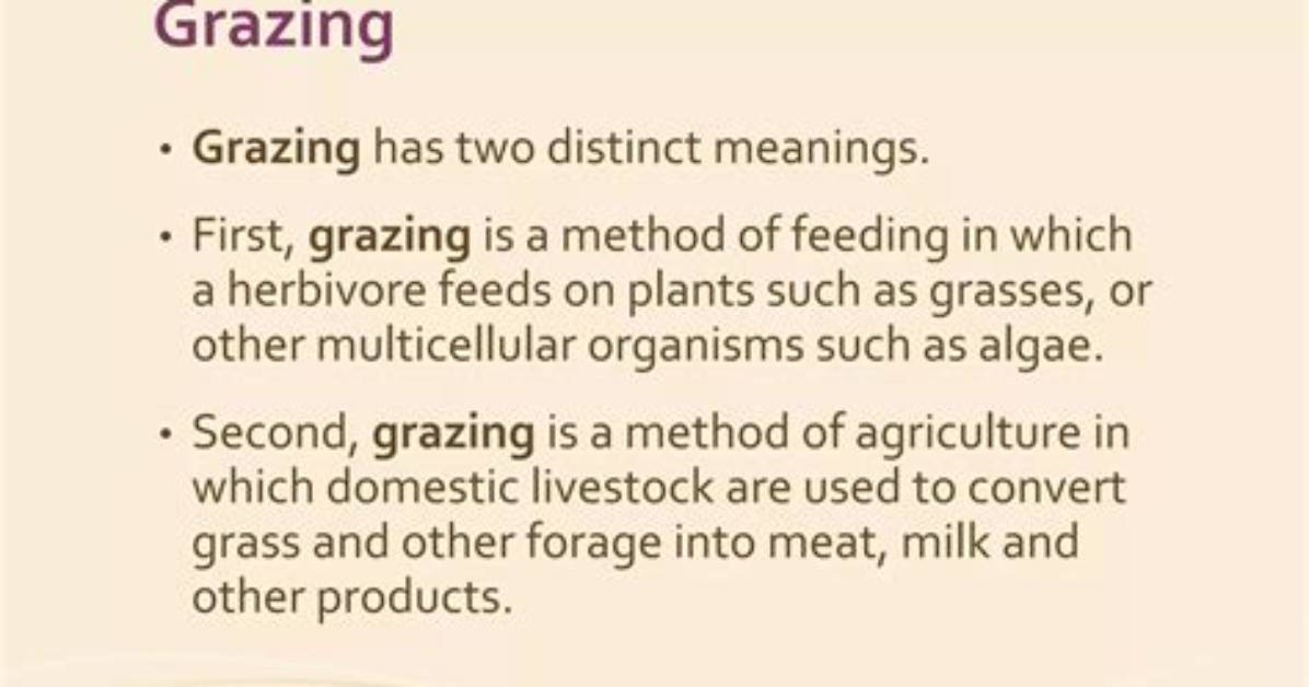 What Does Grazing Mean?