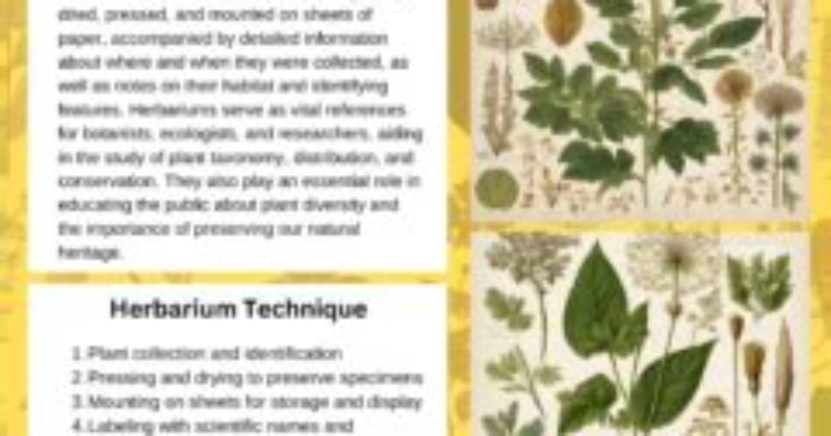 What Does Herbarium Mean?
