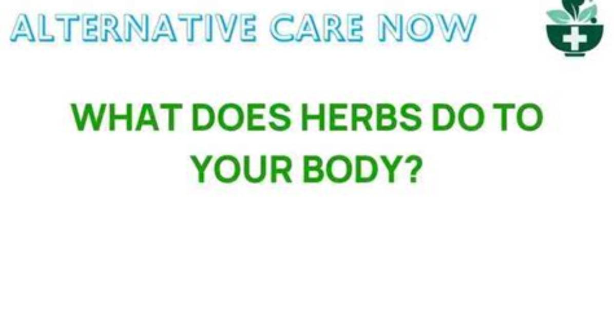 What Does Herbs Do to Your Body