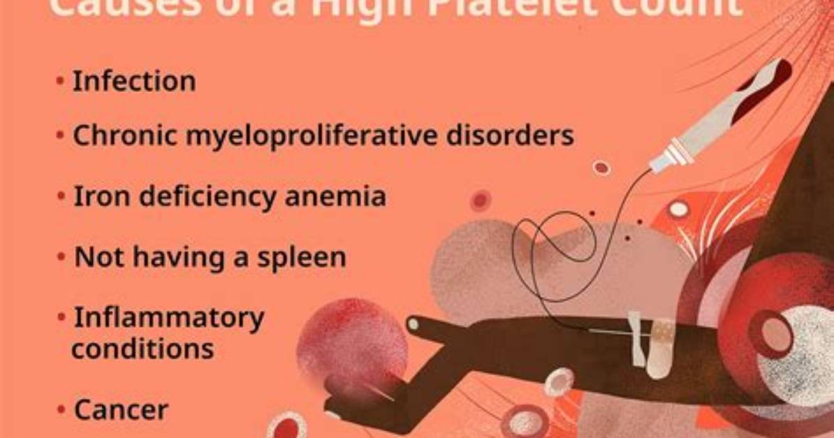 What Does High Platelets in Dogs Mean