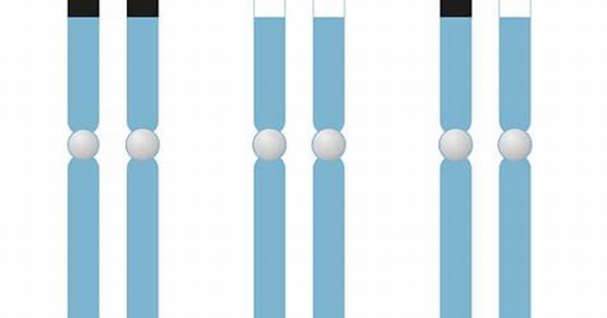 What Does Homozygous Normal Mean?