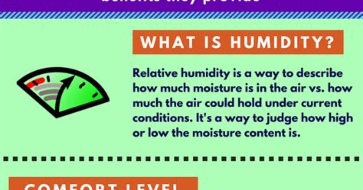 What Does Humidifier Do?