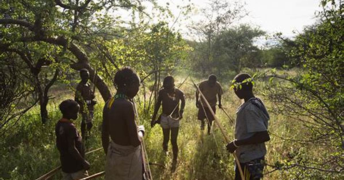 What Does Hunter Gatherer Mean?