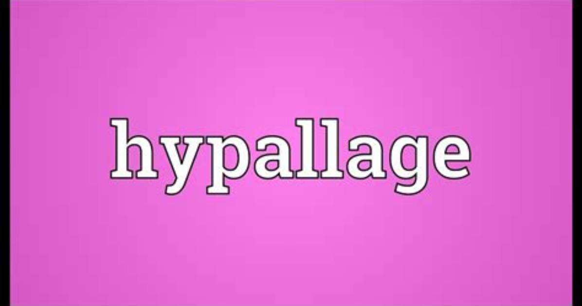 What Does Hypallage Meaning?