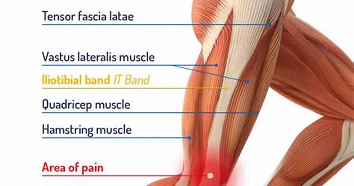 What Does Iliotibial Mean