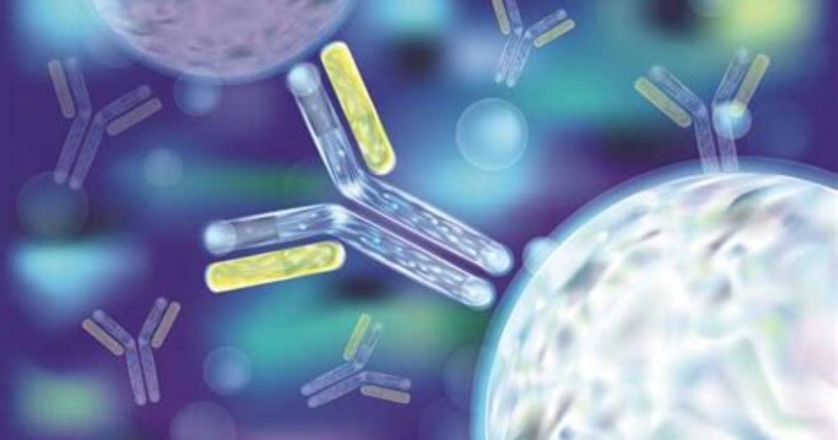 What Does Immunology Mean?