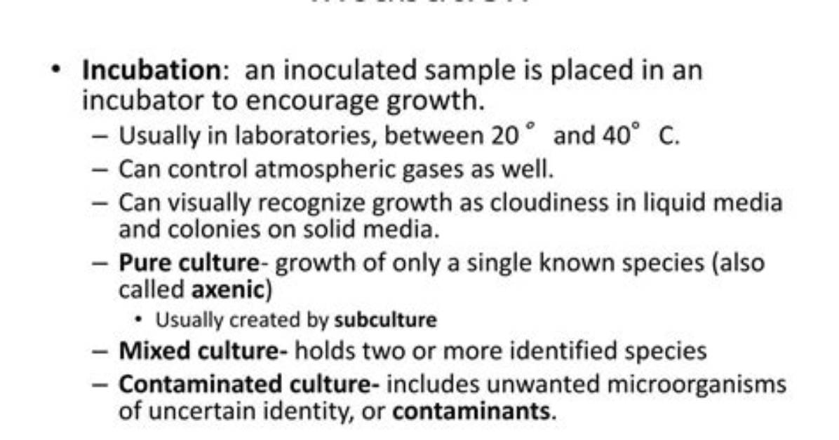 What Does Incubation Means?