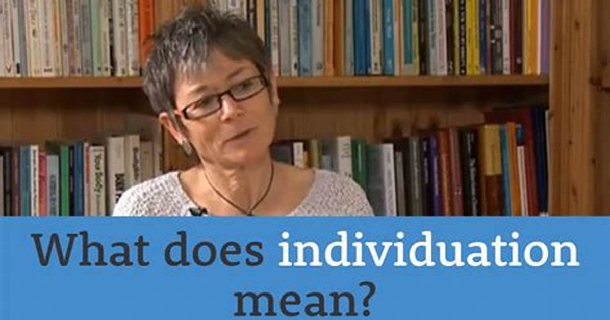 What Does Individuation Mean?