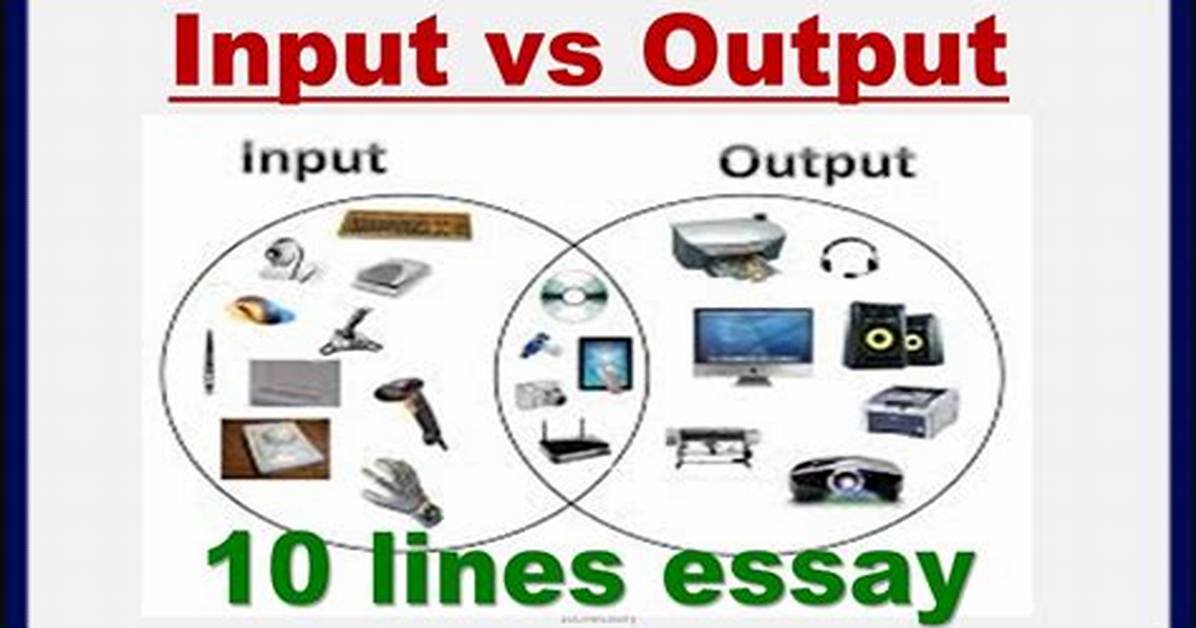 What Does Input Mean?