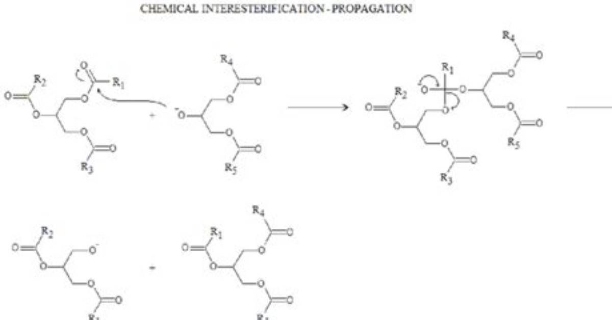 What Does Interesterification Do?