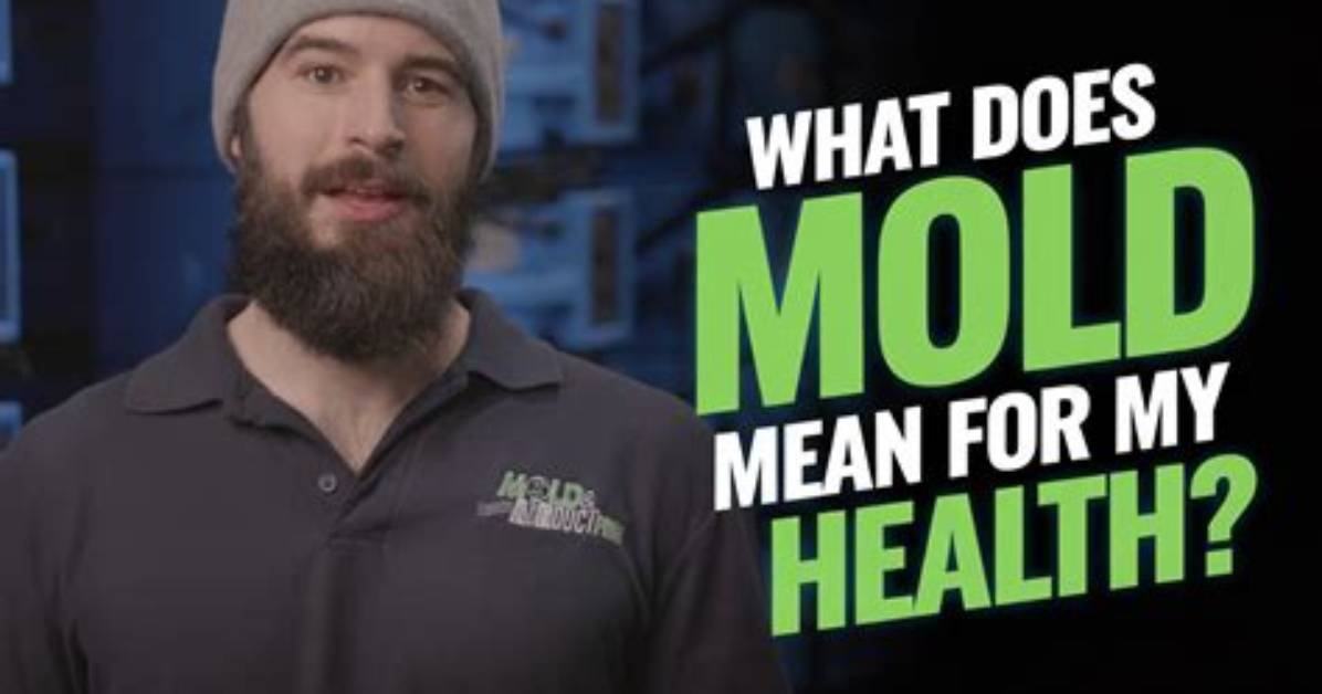 What Does Iron Mold Mean?