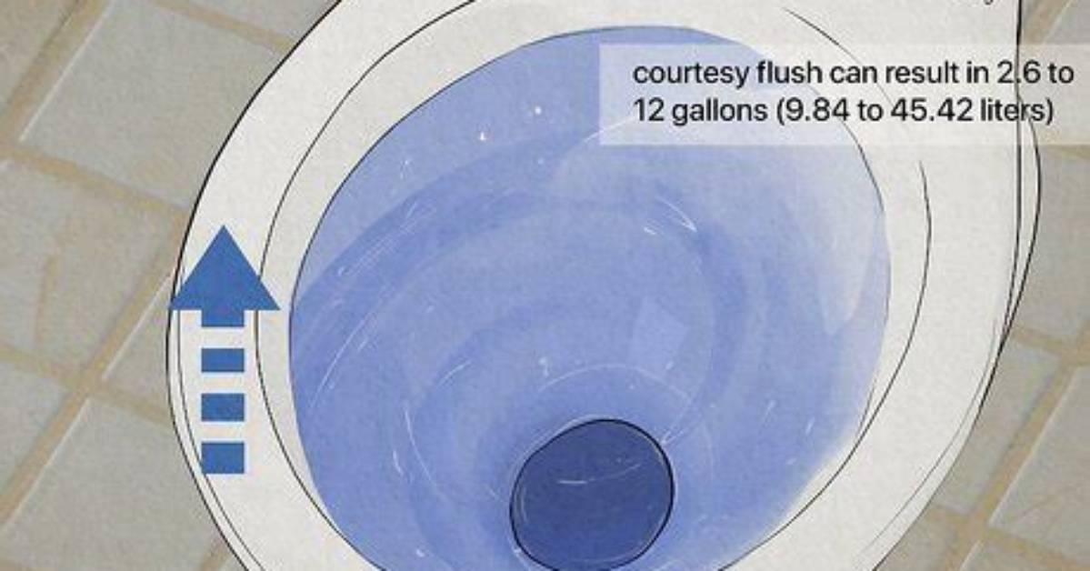 What Does It Mean Courtesy Flush