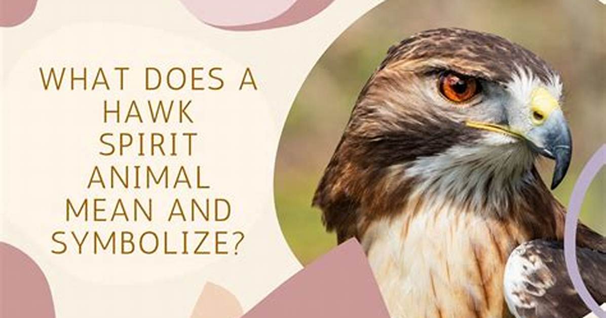 What Does It Mean to Be Hawk-Faced?