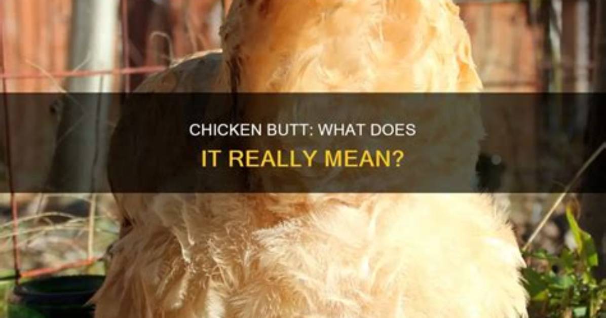 What Does It Mean When a Chicken's Comb Turns Blue?
