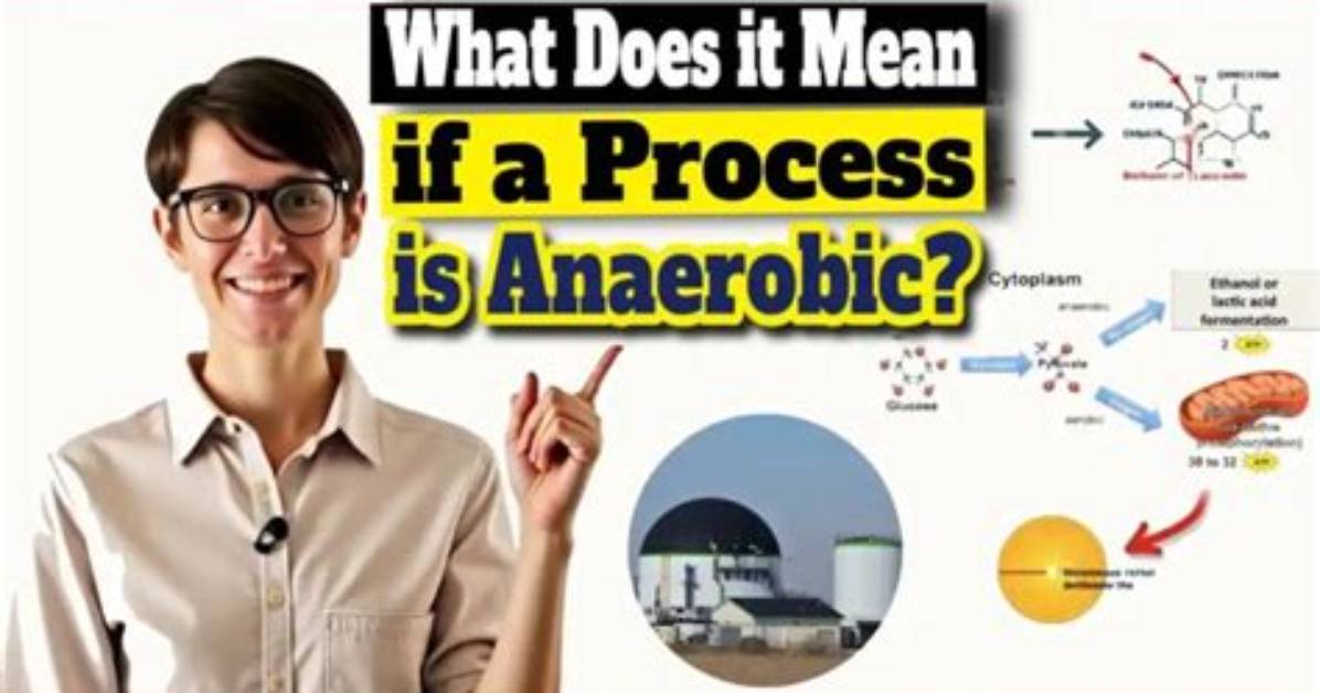 What Does It Mean When the Process Android Process Media Has Stopped?