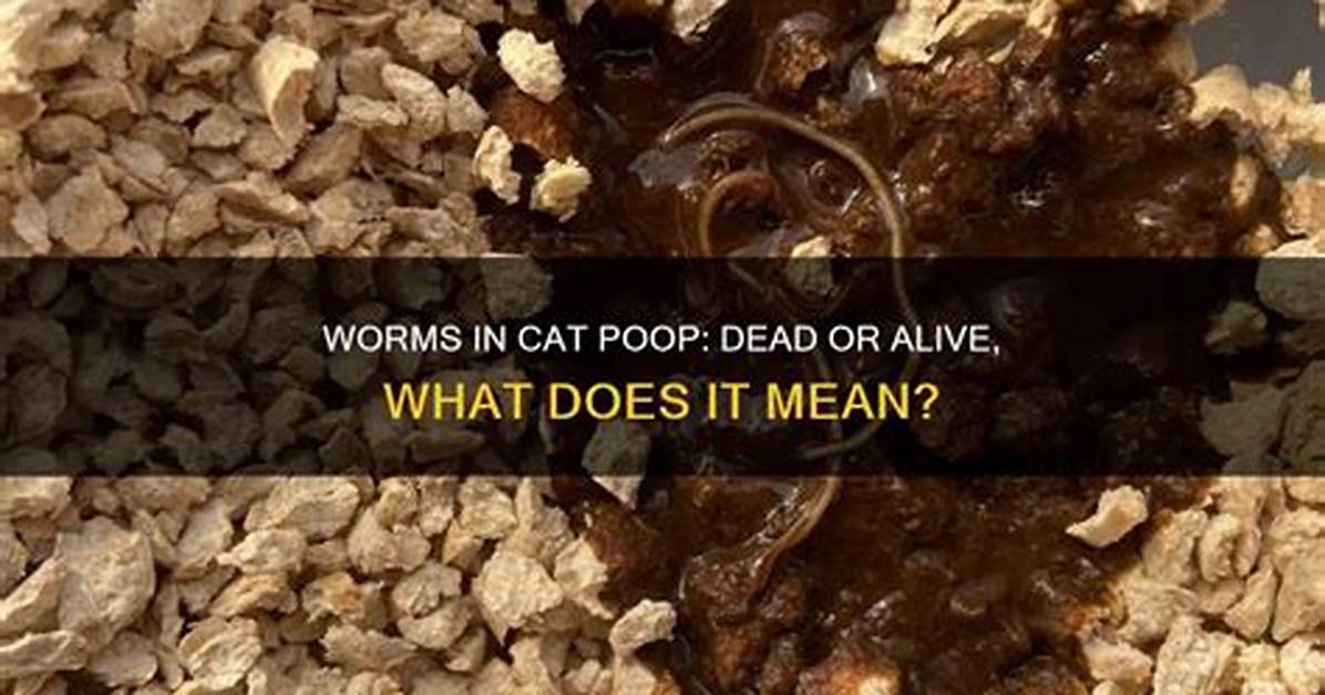 What Does It Mean When Worms Clump Together?