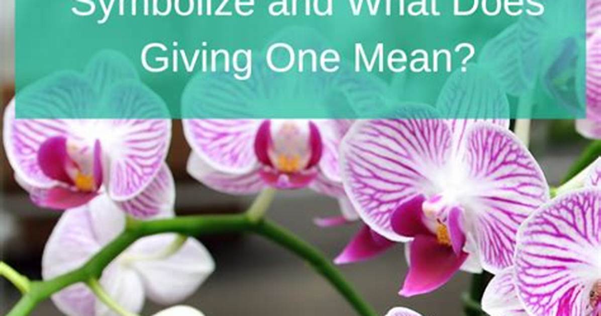 What Does It Mean When Your Orchid Stem Turns Red?