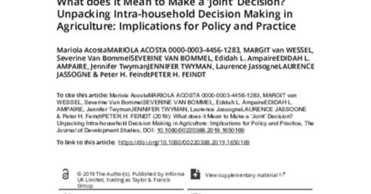 What Does Joint Decision Making Mean