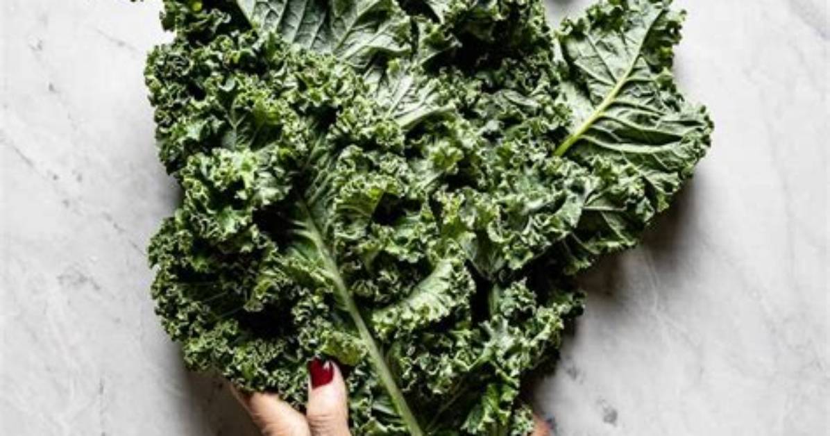 What Does Kale Look Like