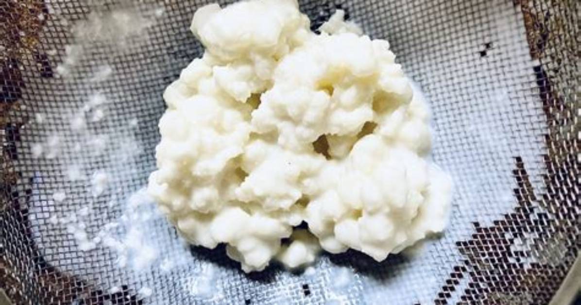 What Does Kefir Do to Milk?