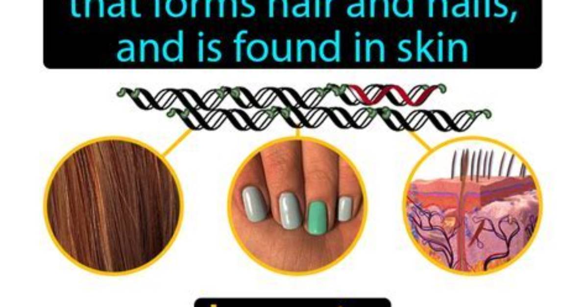 What Does Keratin Mean?