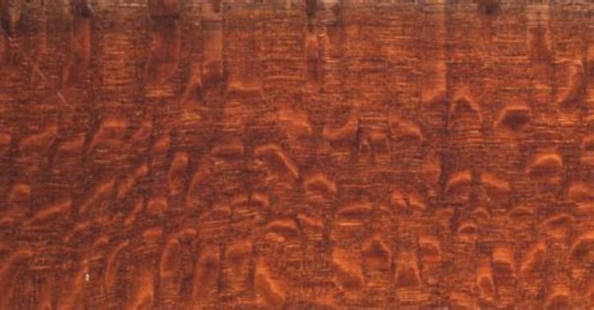 What Does Lacewood Look Like?