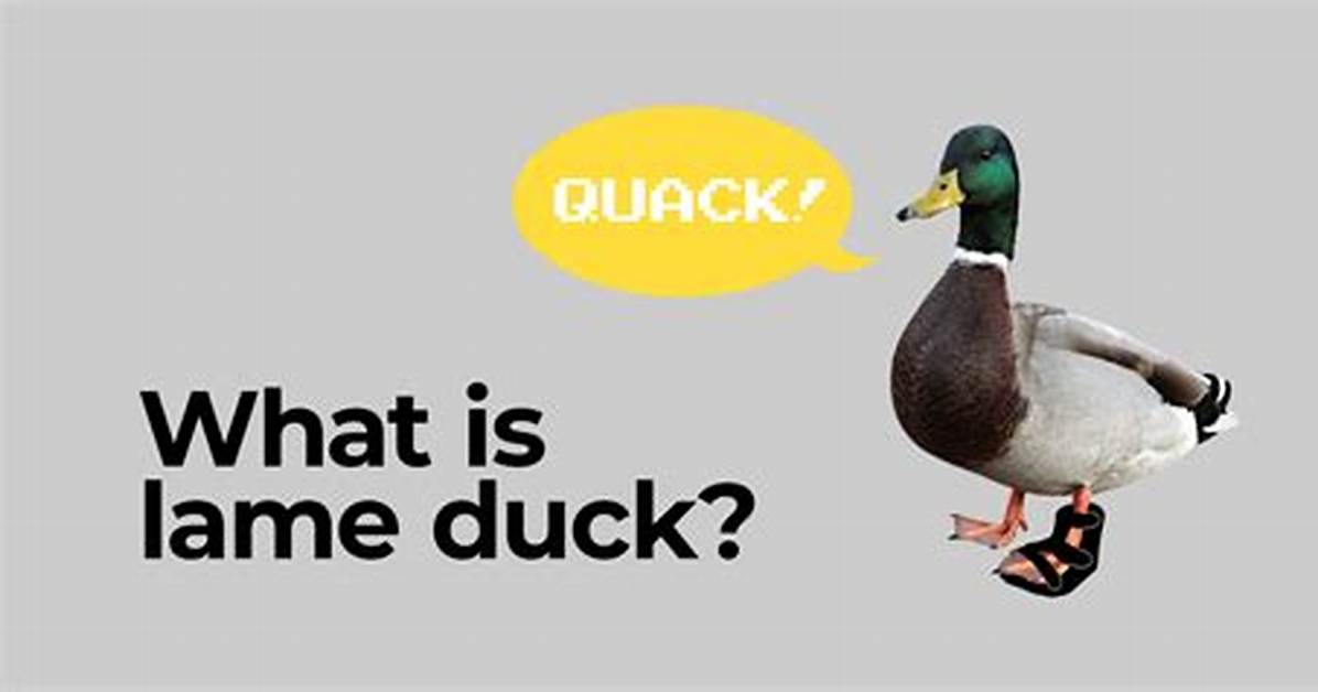 What Does Lame Duck Session Mean?