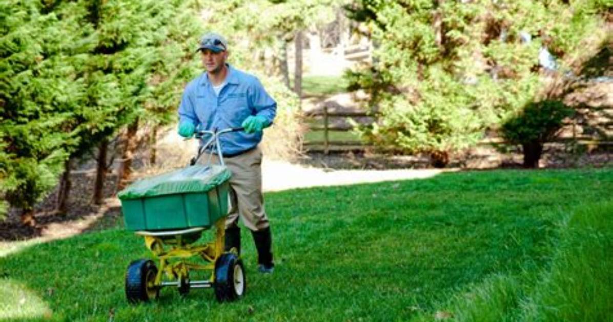 What Does Lawn Magic Do