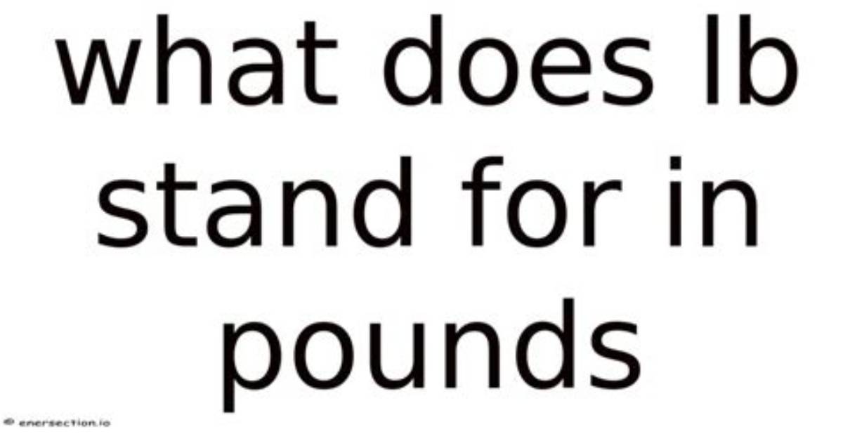 What Does Lb Stand for Ffxiv?